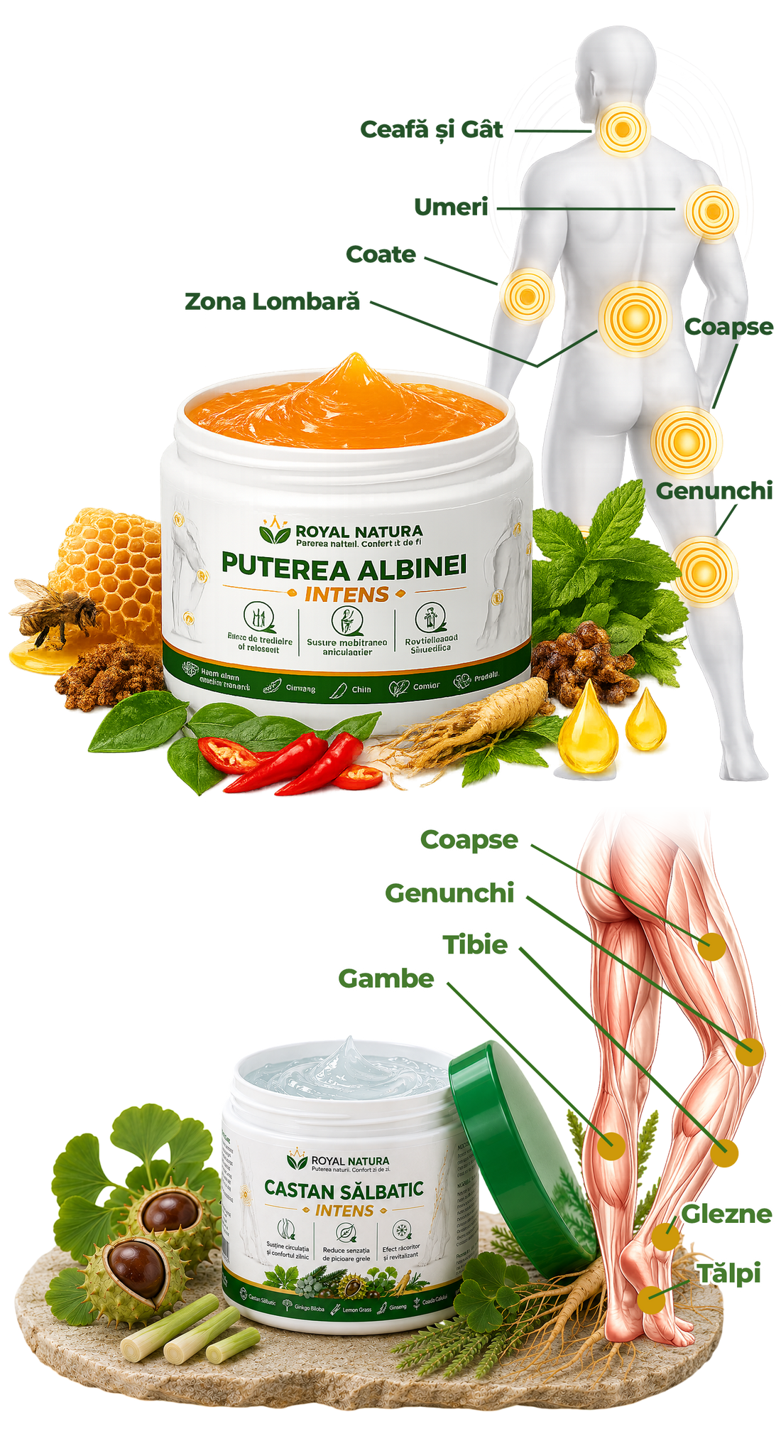 Puterea Albinei Intens