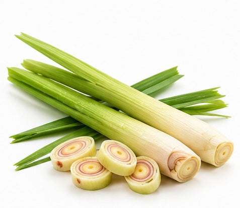 Lemon Grass