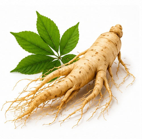 Gingseng